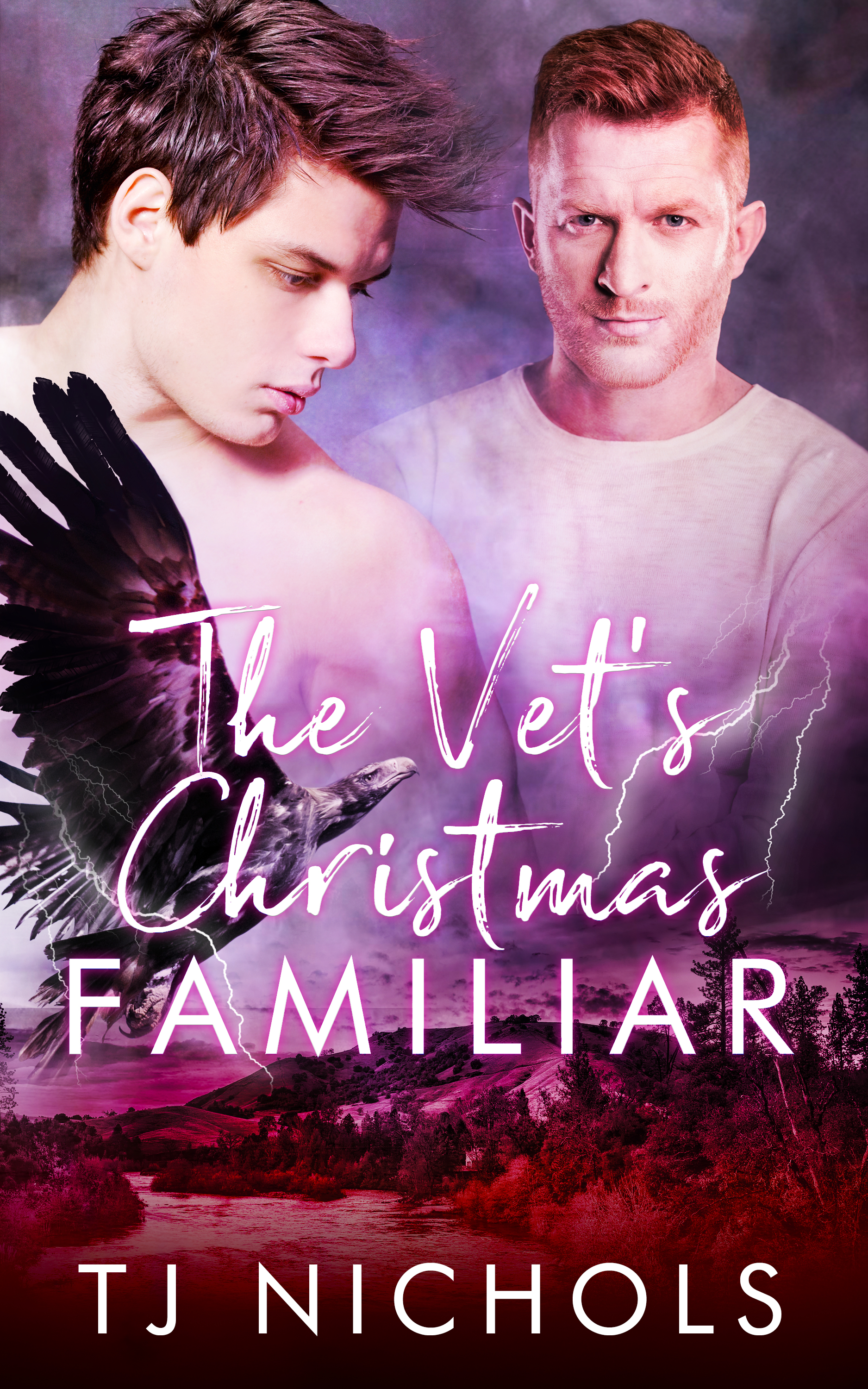 The Vet's Christmas Familiar (Familiar Mates, #4)