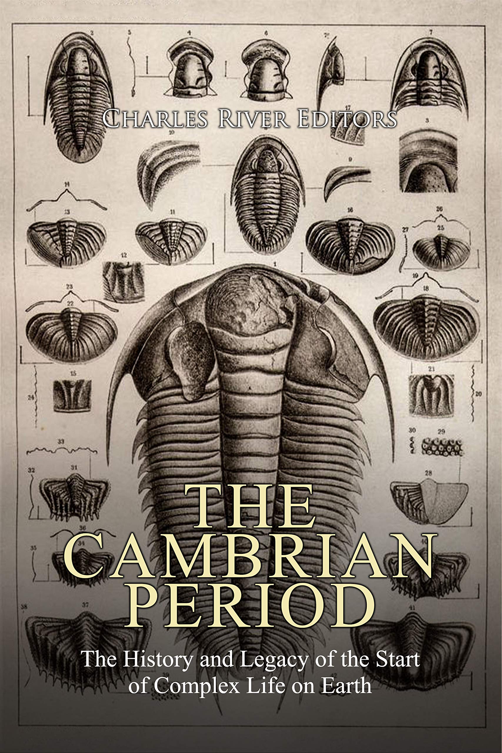 The Cambrian Period: The History and Legacy of the Start of Complex Life on Earth (Kindle Edition)