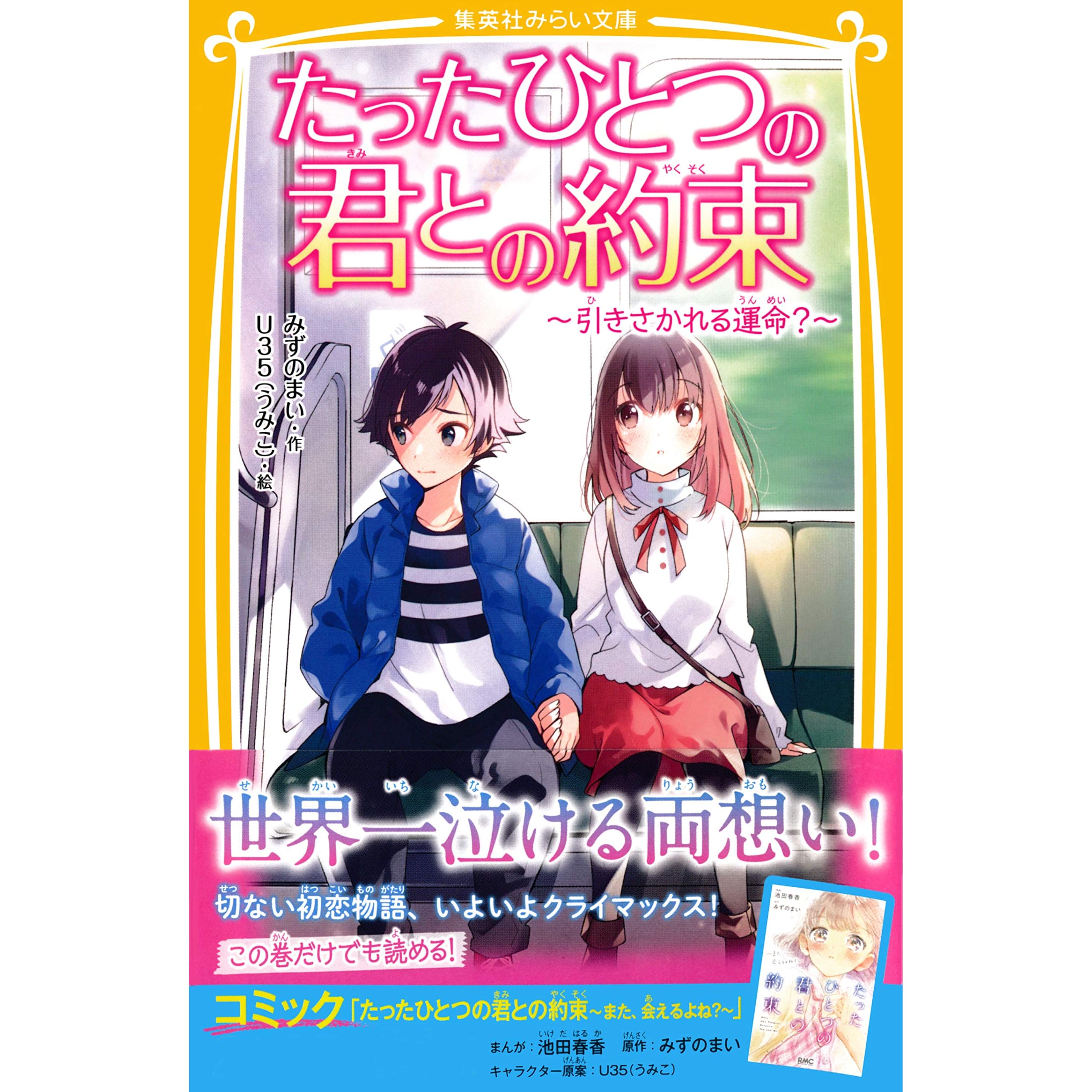 たったひとつの君との約束 引きさかれる運命 By みずのまい