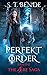 PERFECT ORDER by S.T. Bende