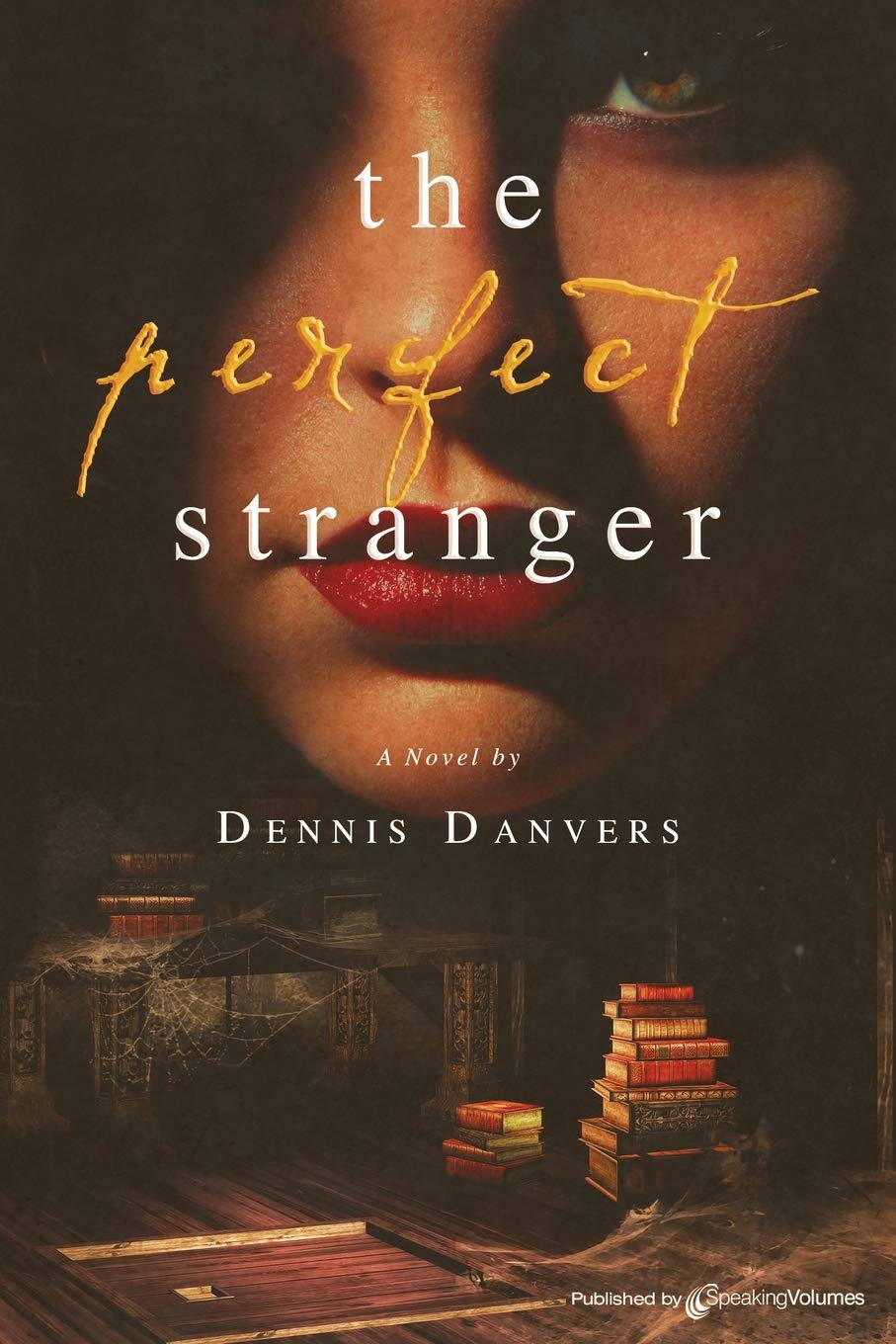 The Perfect Stranger (Paperback)