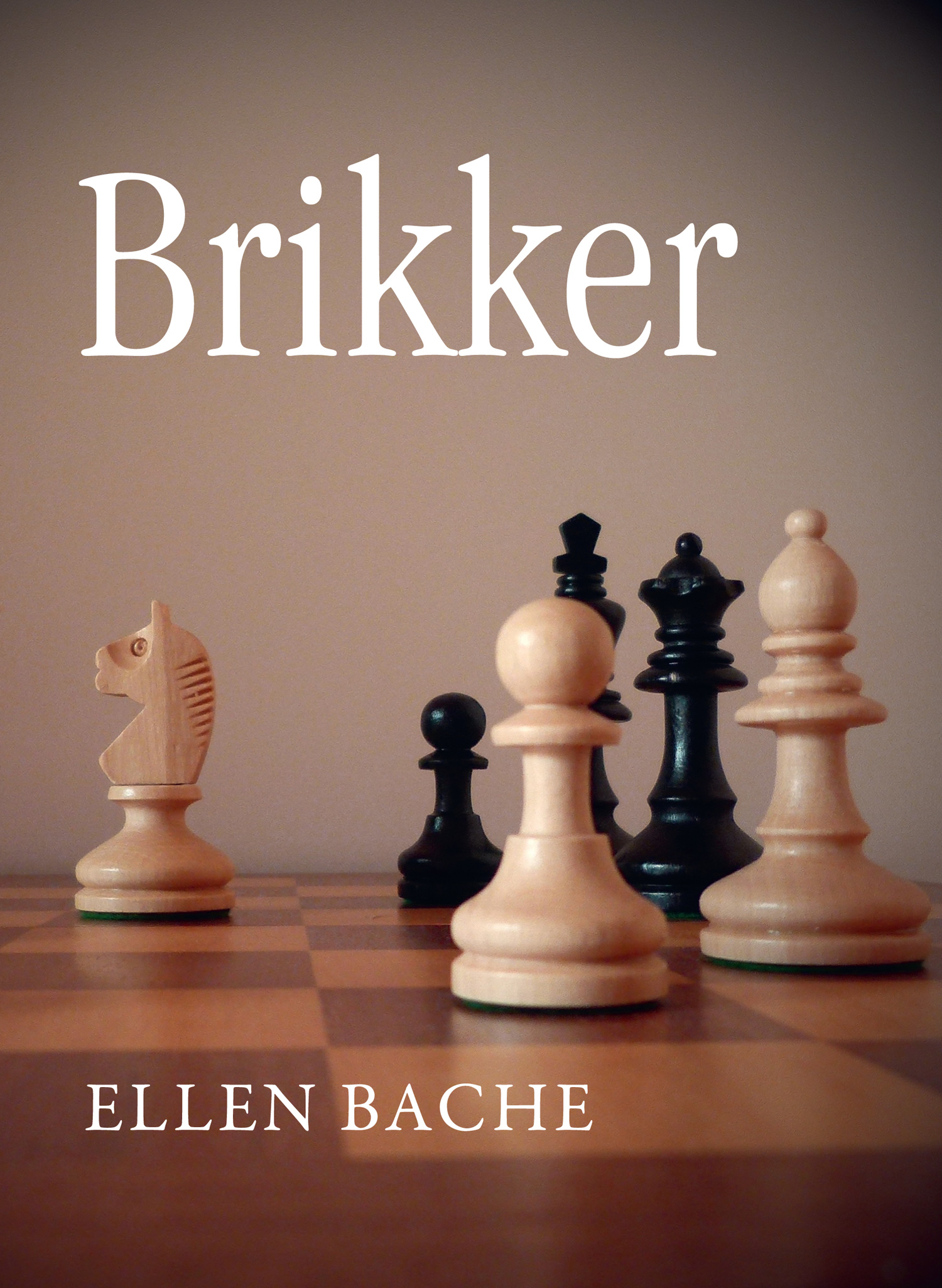 Brikker (Paperback)