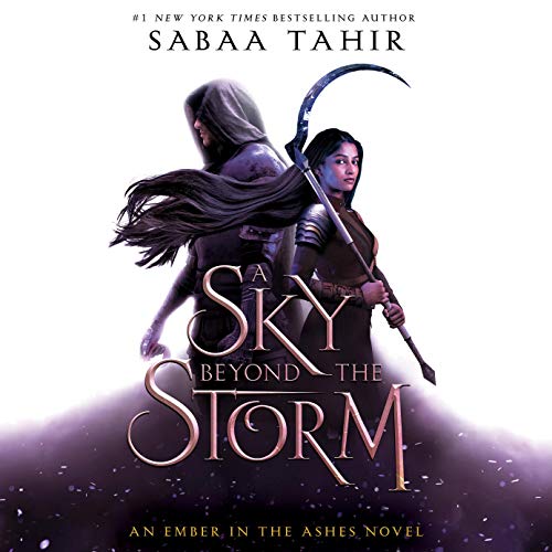 A ​Sky Beyond the Storm