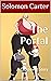 The Portal: A Crossover Story