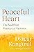 Peaceful Heart: The Buddhist Practice of Patience