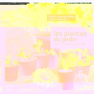 Je multiplie les plantes au jardin: Semis, division, bouturage