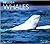 Beluga Whales (Worldlife Library)