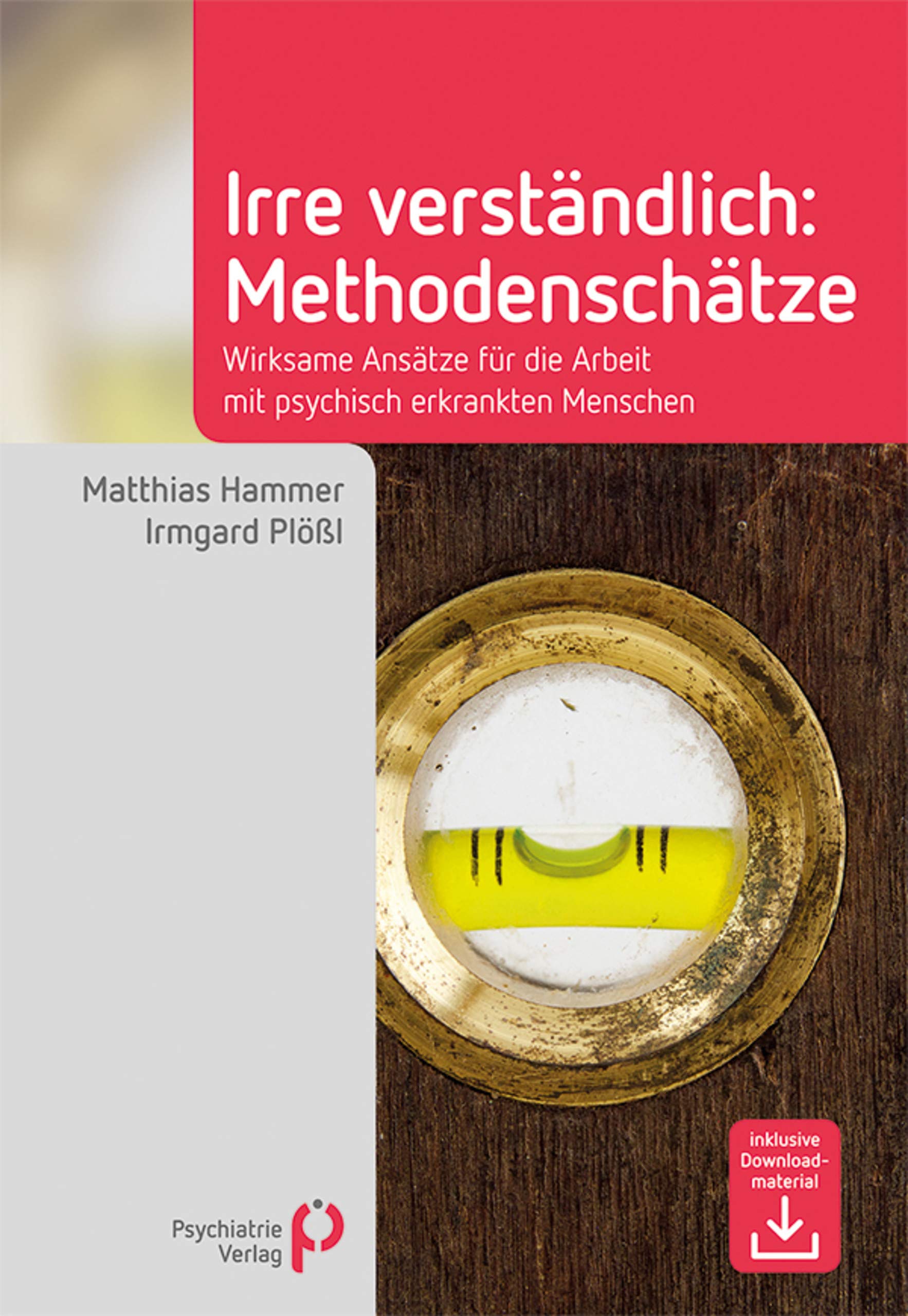 Irre Verständlich: Methodenschätze: Wirksame Ansätze für die Arbeit mit psychisch erkrankten Menschen (Fachwissen) (German Edition)