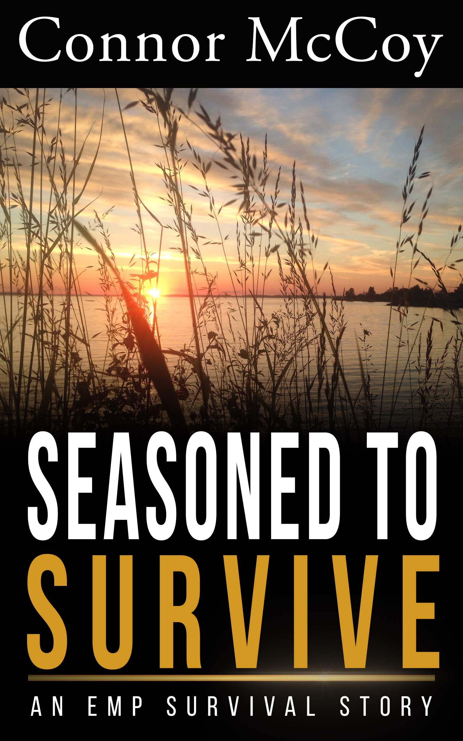SEASONED TO SURVIVE: an EMP survival story (SILENT DETONATION Book 4)