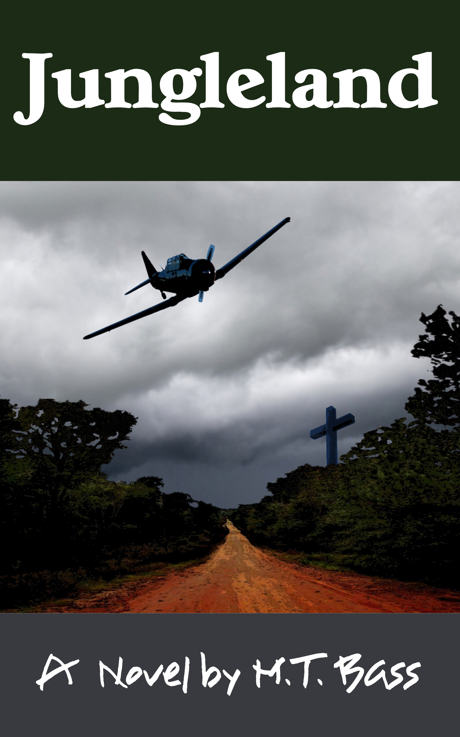 Jungleland: White Hawk Aviation Stories #2