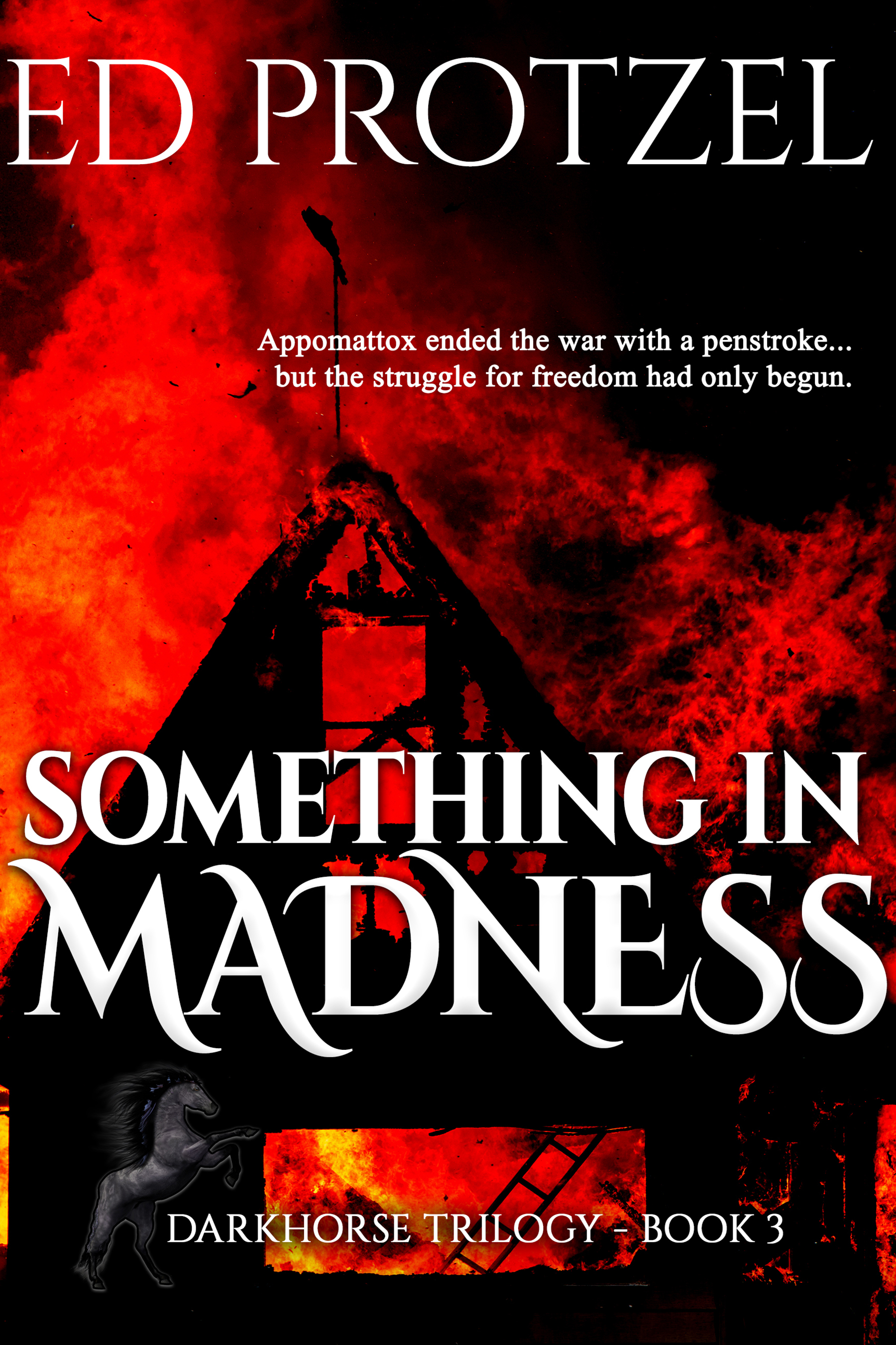 Something in Madness (DarkHorse Trilogy, #3)