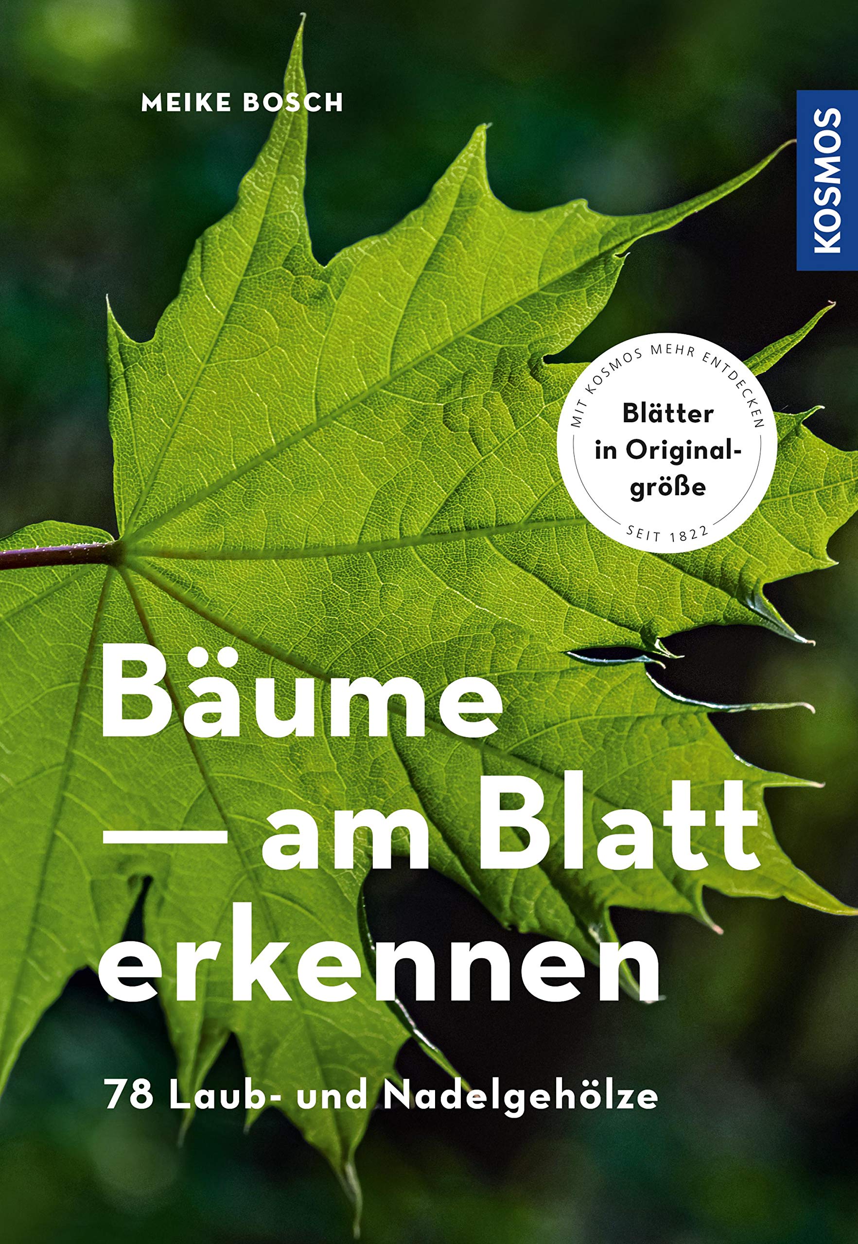 Bäume am Blatt erkennen (German Edition)
