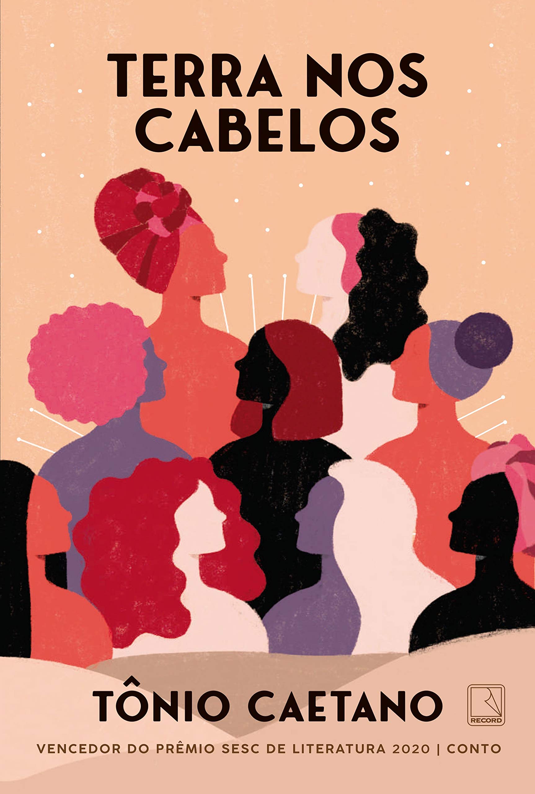 Terra nos cabelos (Paperback)