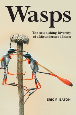 Wasps: The Astonishing Diversity of a Misunderstood Insect (Hardcover)