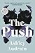 The Push by Ashley Audrain