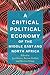 A Critical Political Economy of the Middle East and North Africa by Joel Beinin