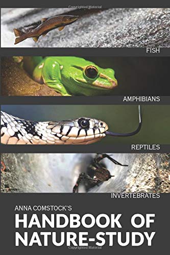 The Handbook Of Nature Study in Color - Fish, Reptiles, Amphibians, Invertebrates (Paperback)