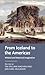 From Iceland to the Americas: Vinland and historical imagination (Manchester Medieval Literature and Culture)