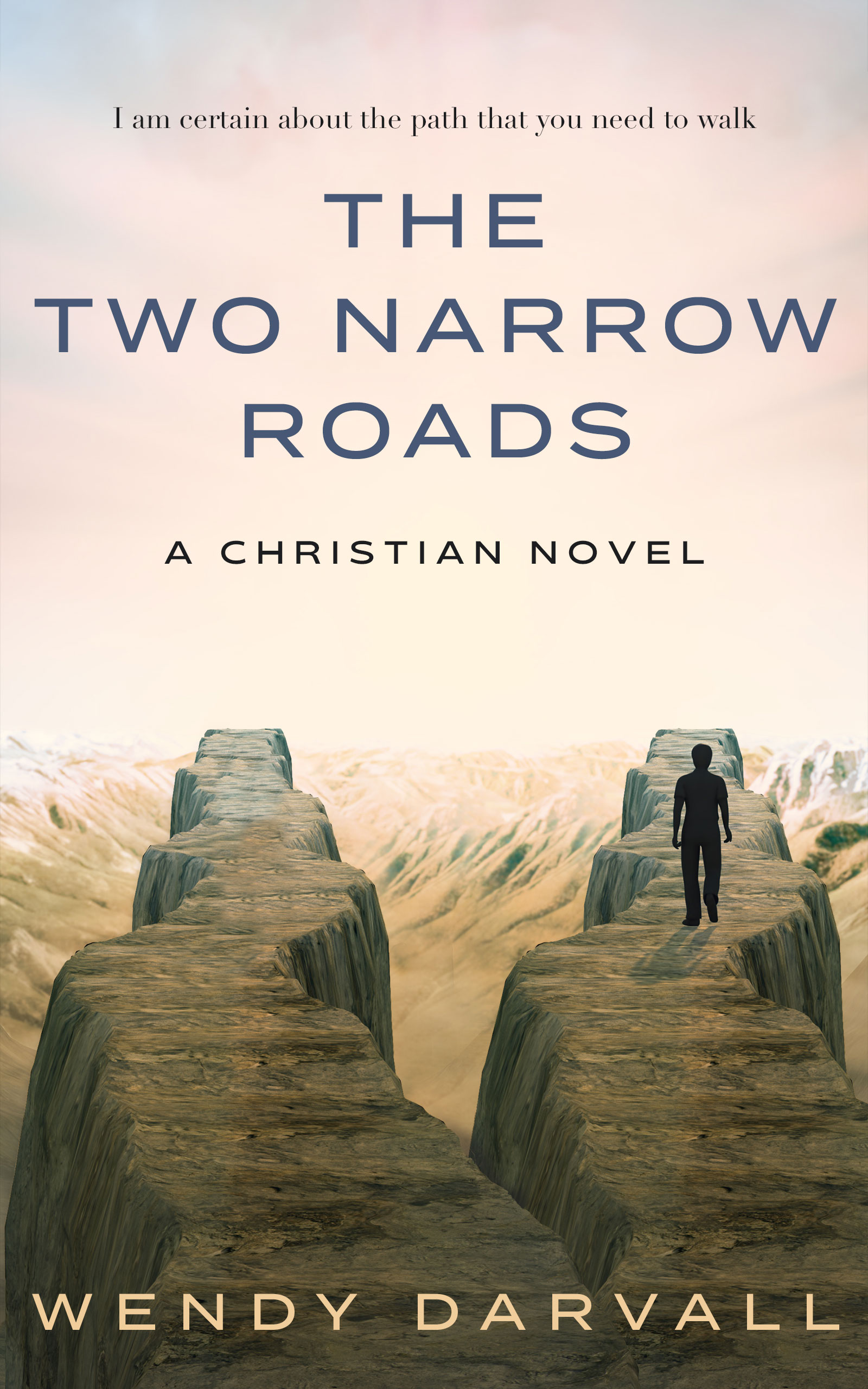 The Two Narrow Roads: a Christian novel
