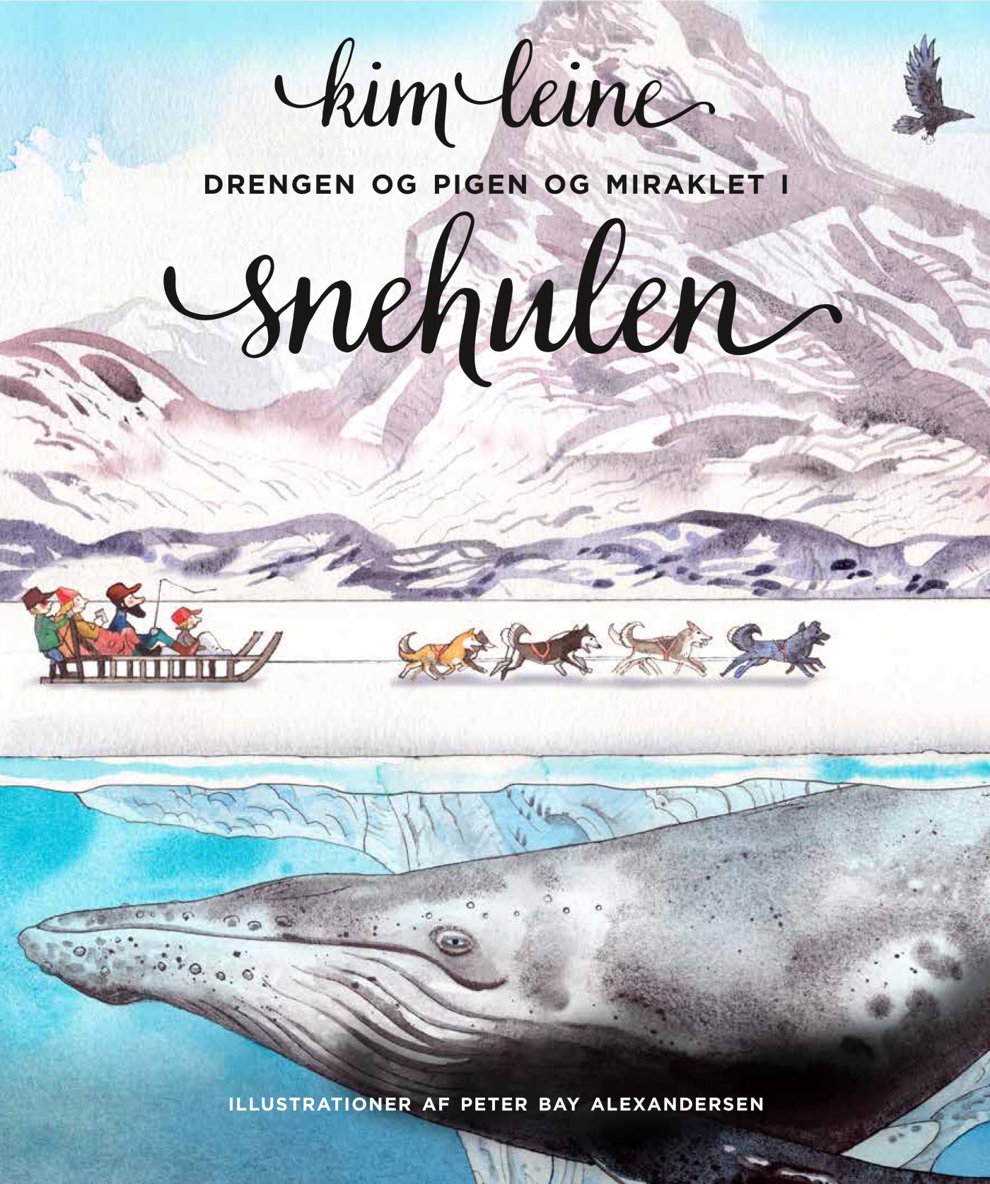 Drengen og pigen og miraklet i snehulen (Hardcover)