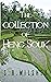 The Collection of Heng Souk