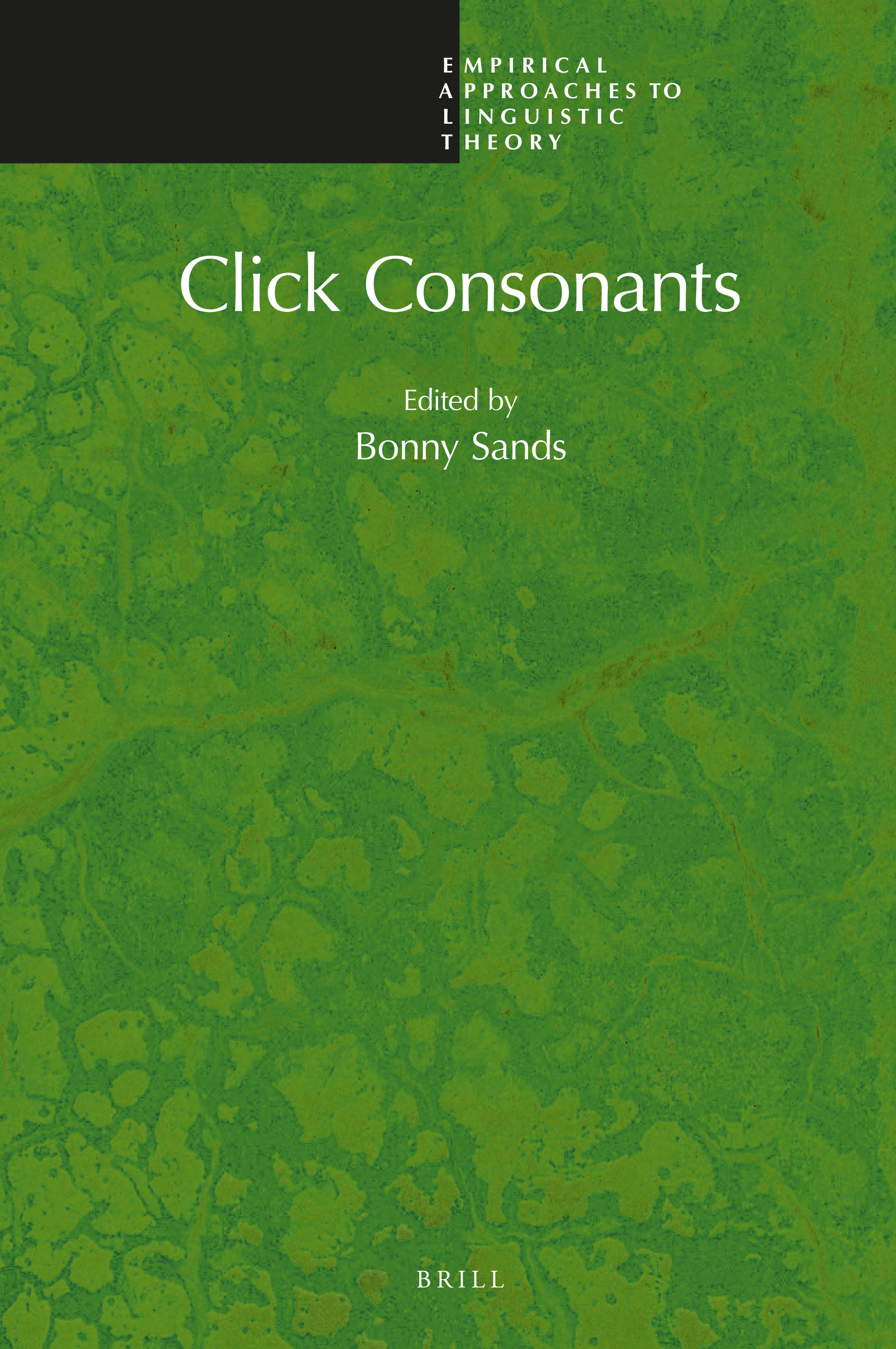 Click Consonants (Hardcover)
