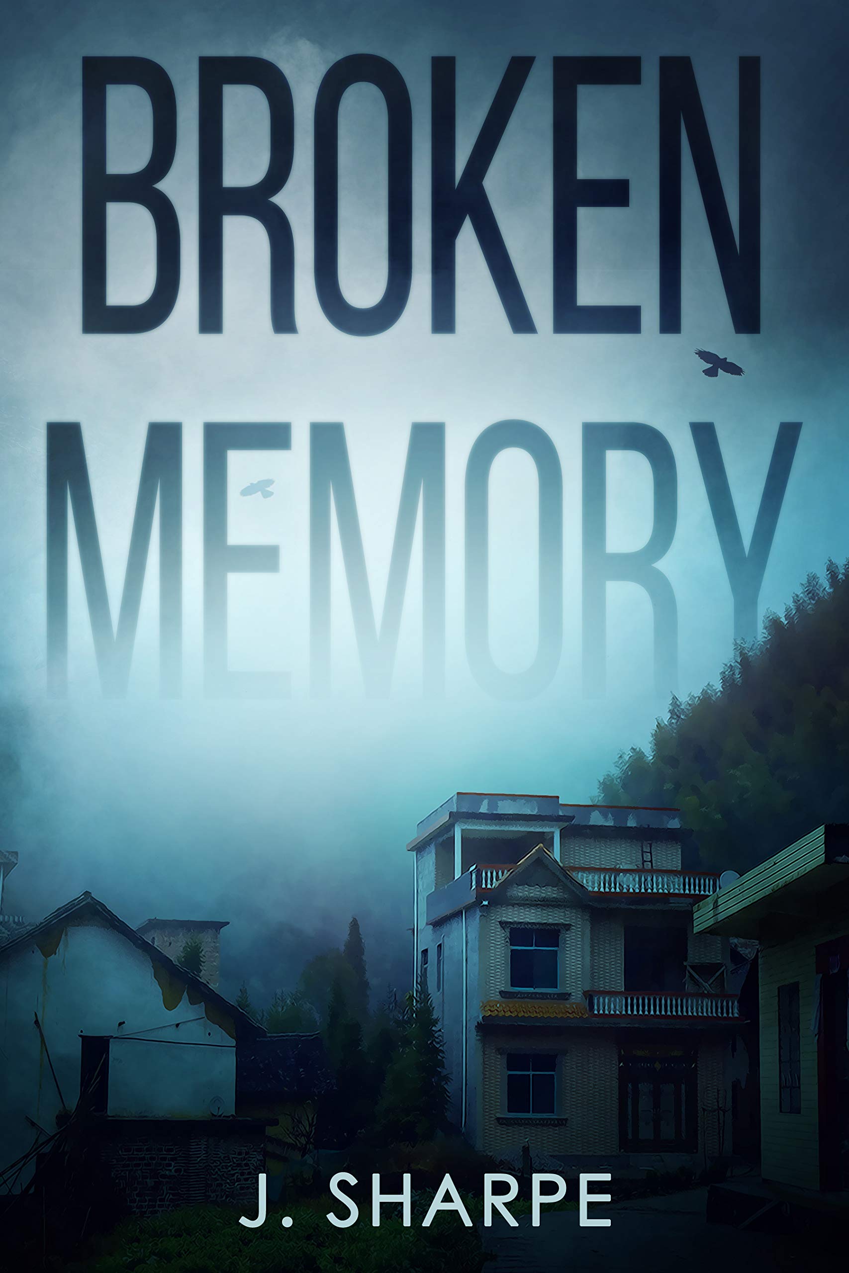 Broken Memory (Kindle Edition)