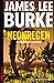 Neonregen by James Lee Burke