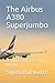 The Airbus A380 Superjumbo:...