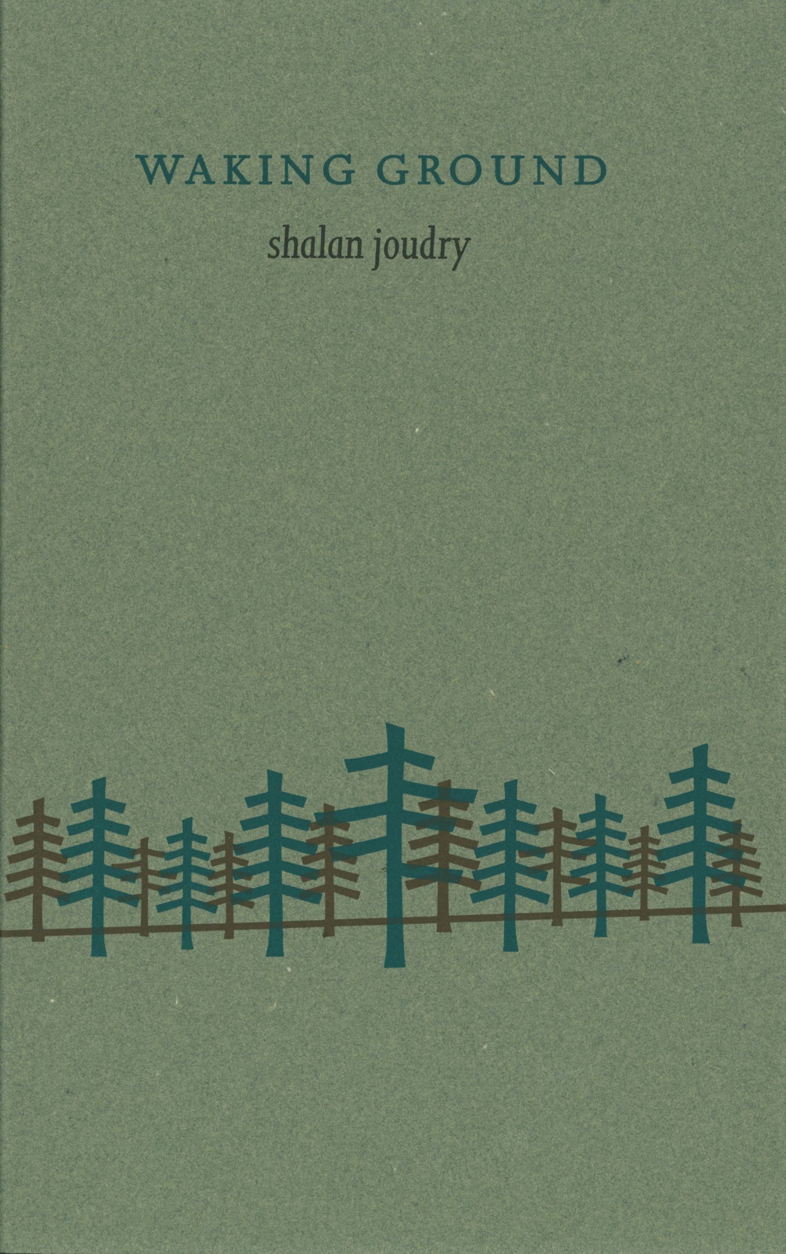 Waking Ground (Paperback)