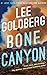 Bone Canyon (Eve Ronin, 2)
