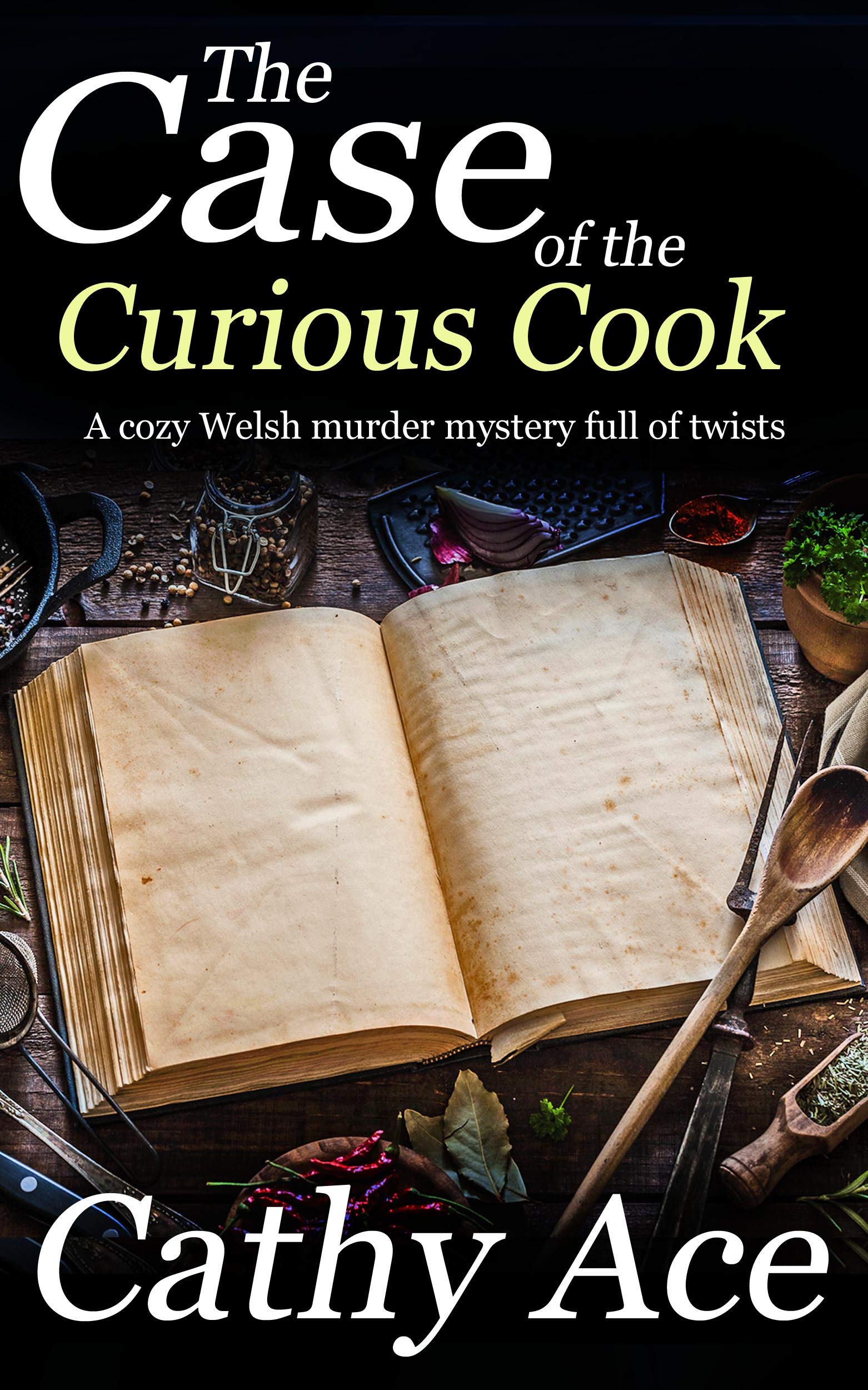 The Case of the Curious Cook (WISE Enquiries Agency #3)