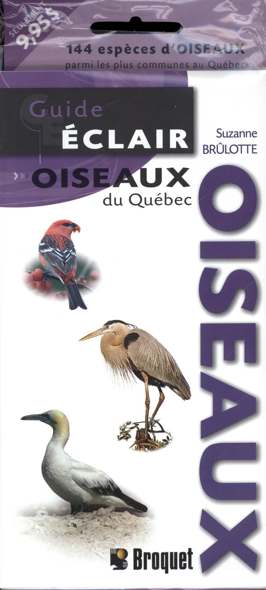 Oiseaux: Guide éclair oiseaux du Québec (Paperback)