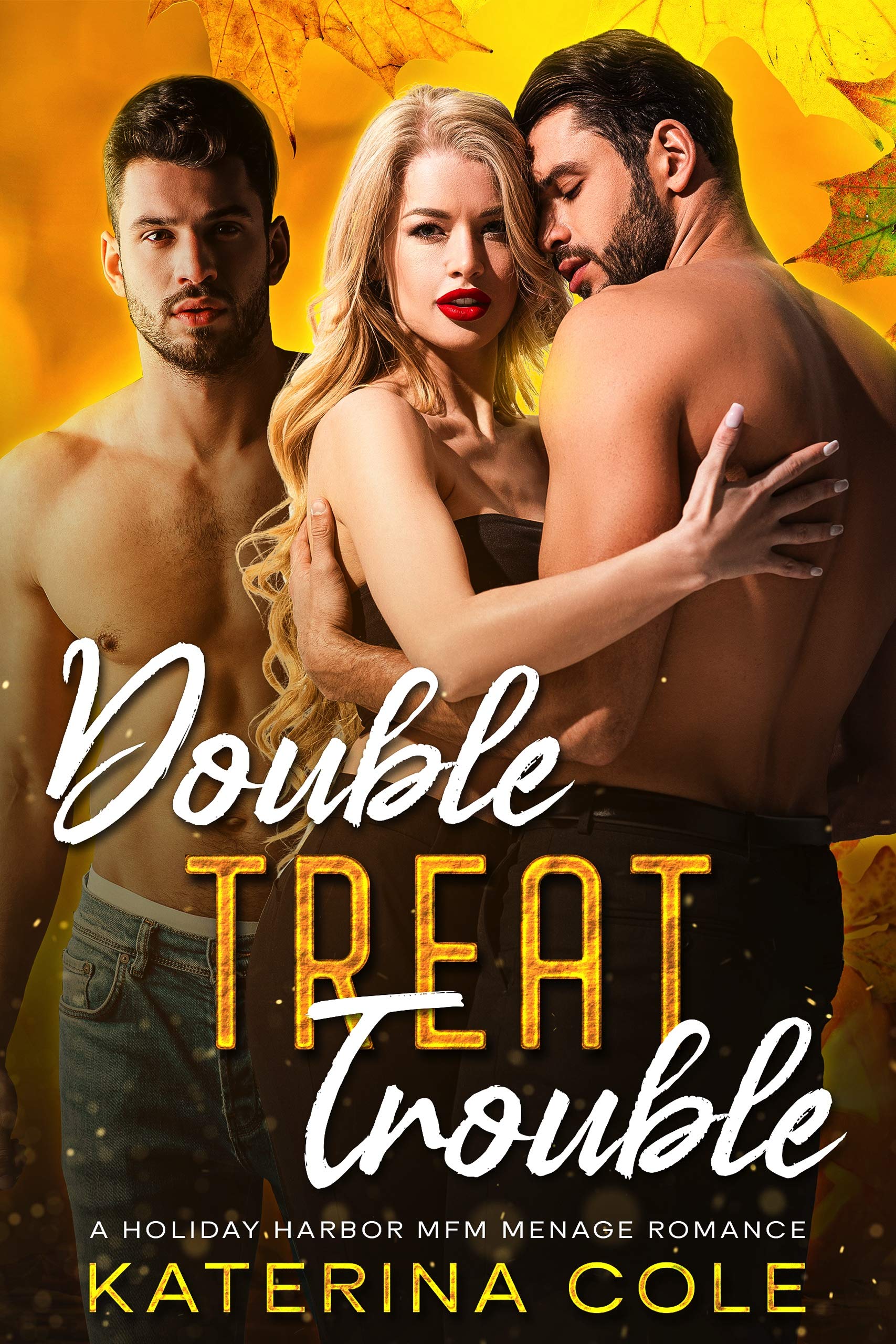 Double Treat Trouble (Holiday Harbor, #2)