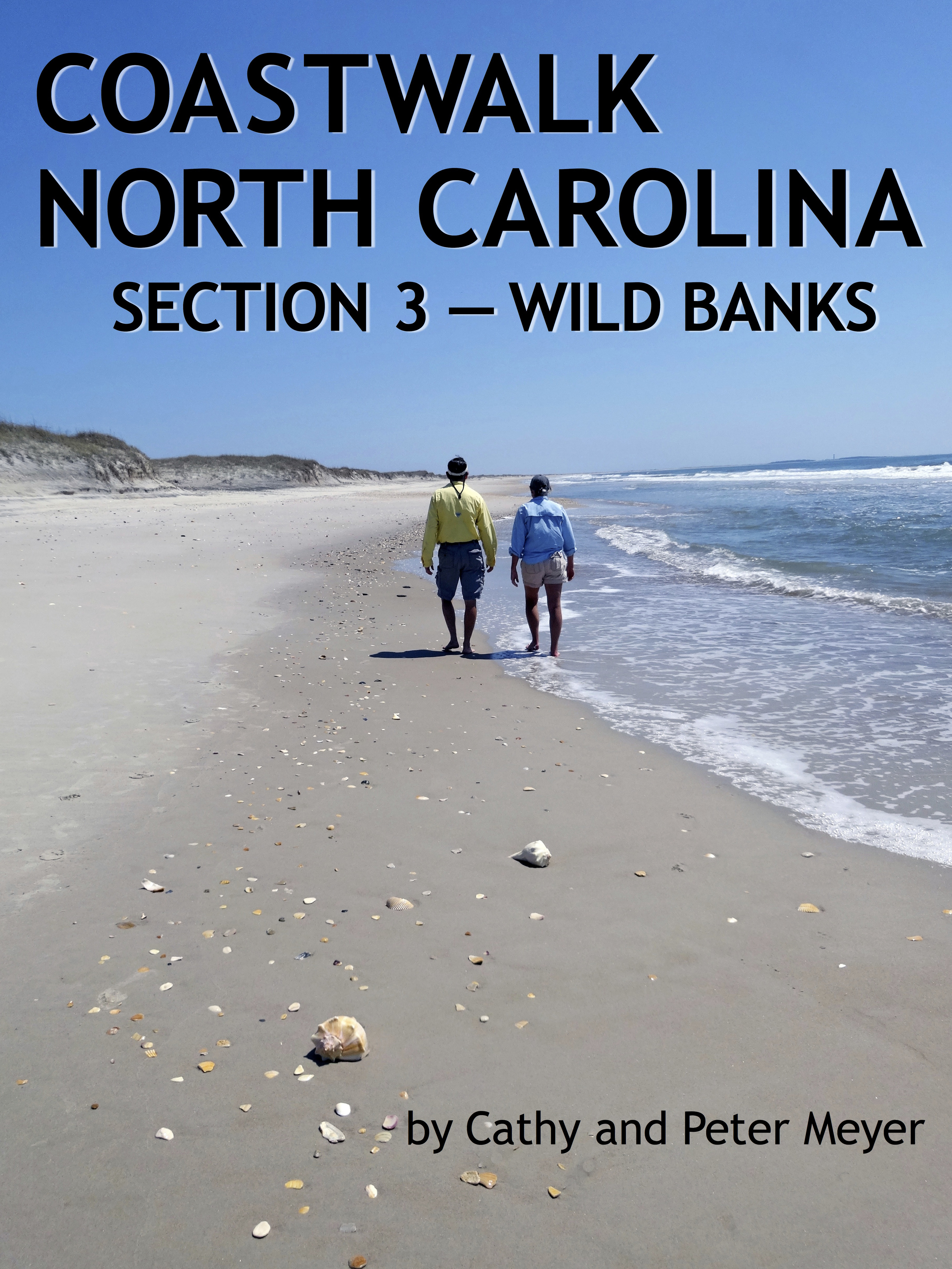 Wild Banks (Coastwalk North Carolina, #3)