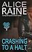 Crashing To A Halt: A deepl...