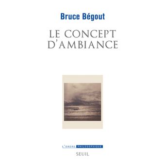 Le Concept d'ambiance
