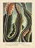 Arthur Dove: A Catalogue Ra...