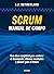 Scrum. Manual de campo.: Una clase magistral para acelerar el desempeño, obtener resultados y planear el futuro (Spanish Edition)