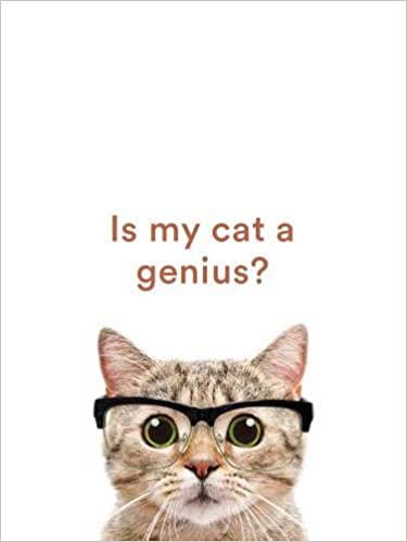 Is My Cat A Genius?