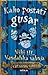 Kako postati gusar (How to Train Your Dragon, #2)