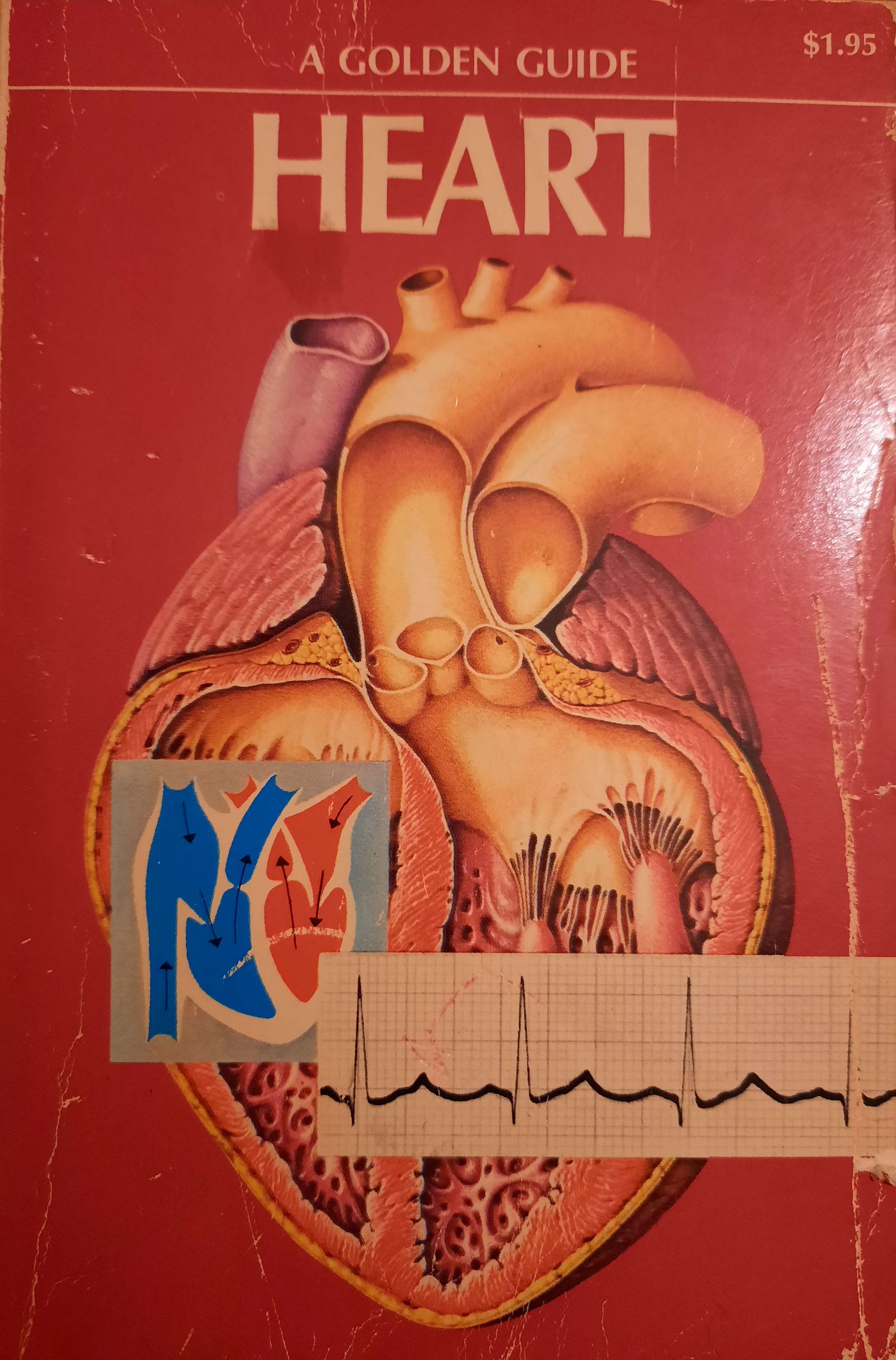 Heart (A Golden Guide)
