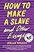 How to Make a Slave and Other Essays (21st Century Essays)