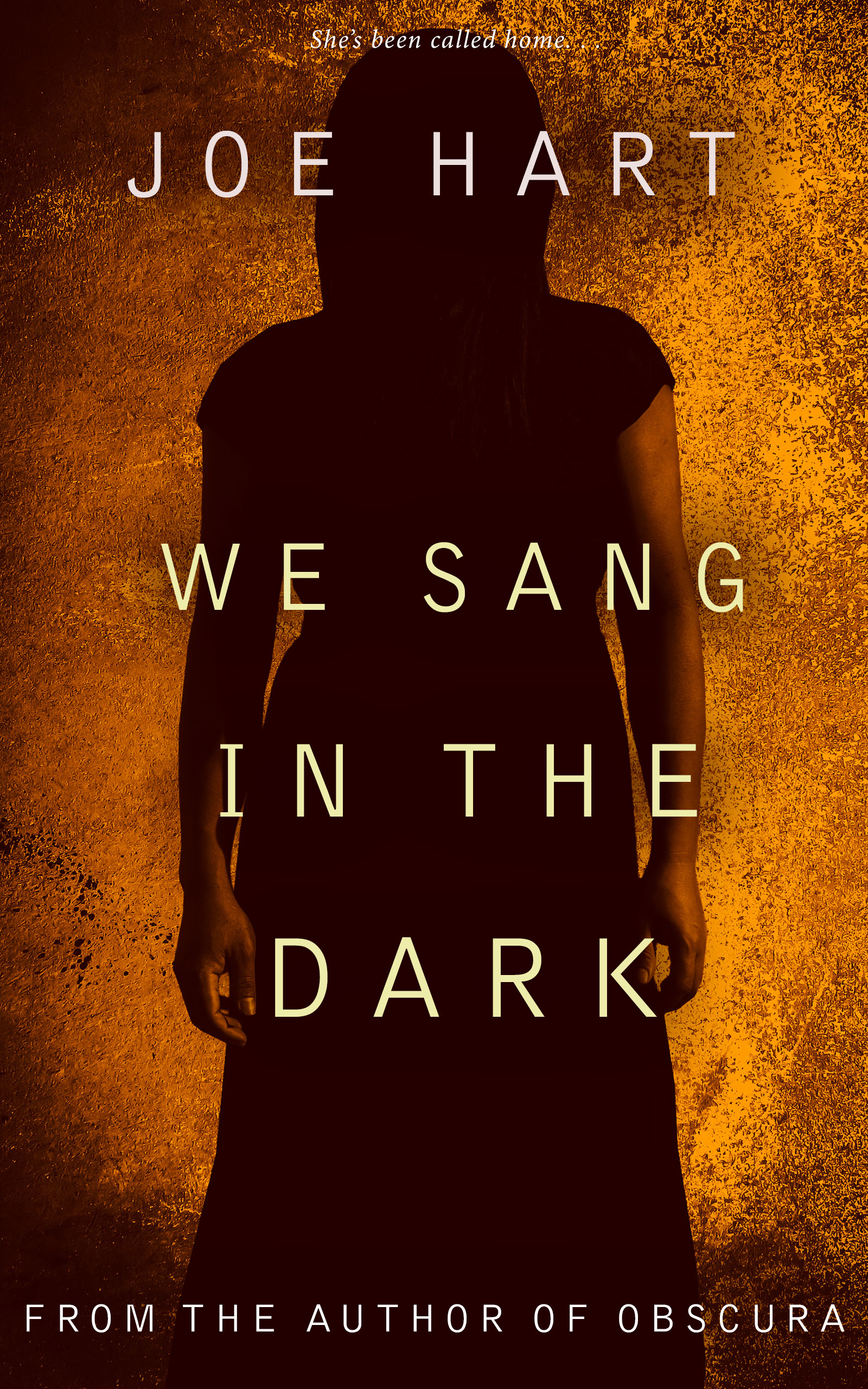 We Sang in the Dark (Kindle Edition)