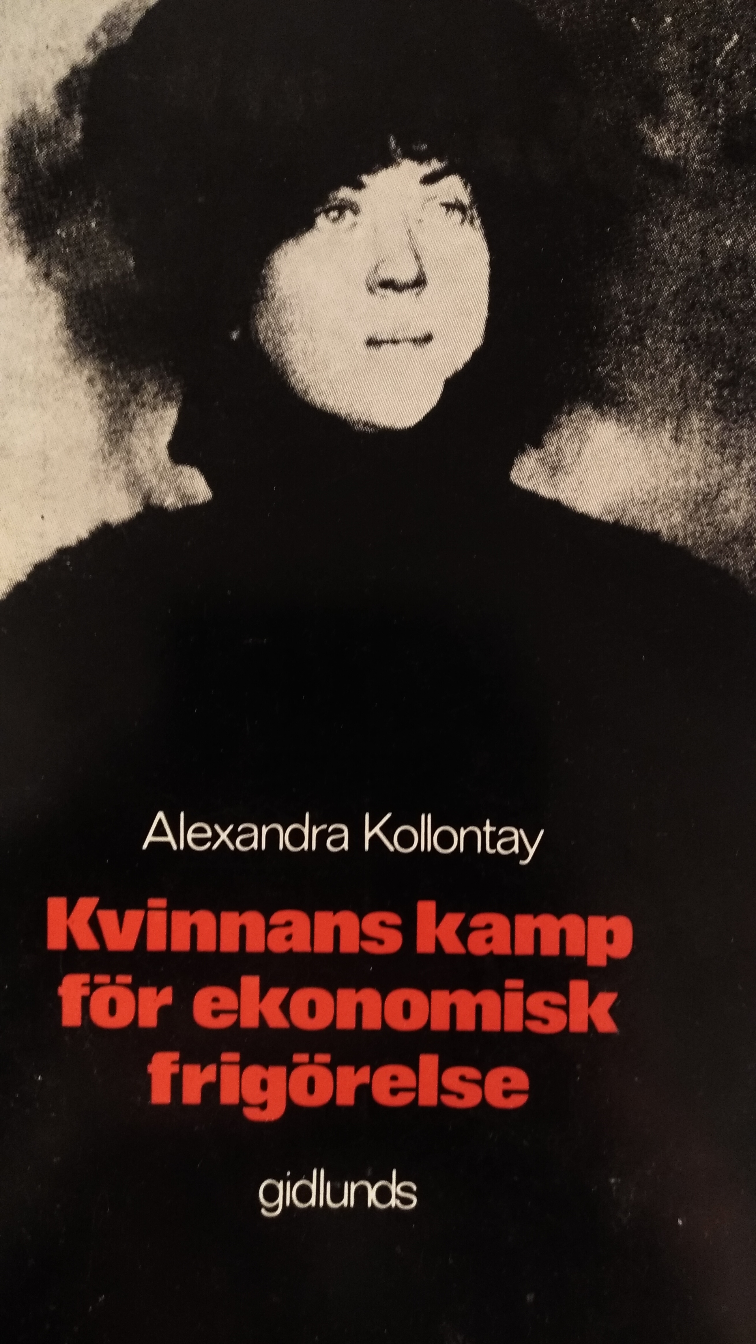 Kvinnans Kamp För Ekonomisk Frigörelse (Paperback)