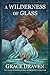 A Wilderness of Glass (Wraith Kings, #2.7)