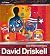 David Driskell: Icons of Nature and History