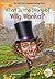 What Is the Story of Willy ...