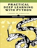 Practical Deep Learning: A Python-Based Introduction