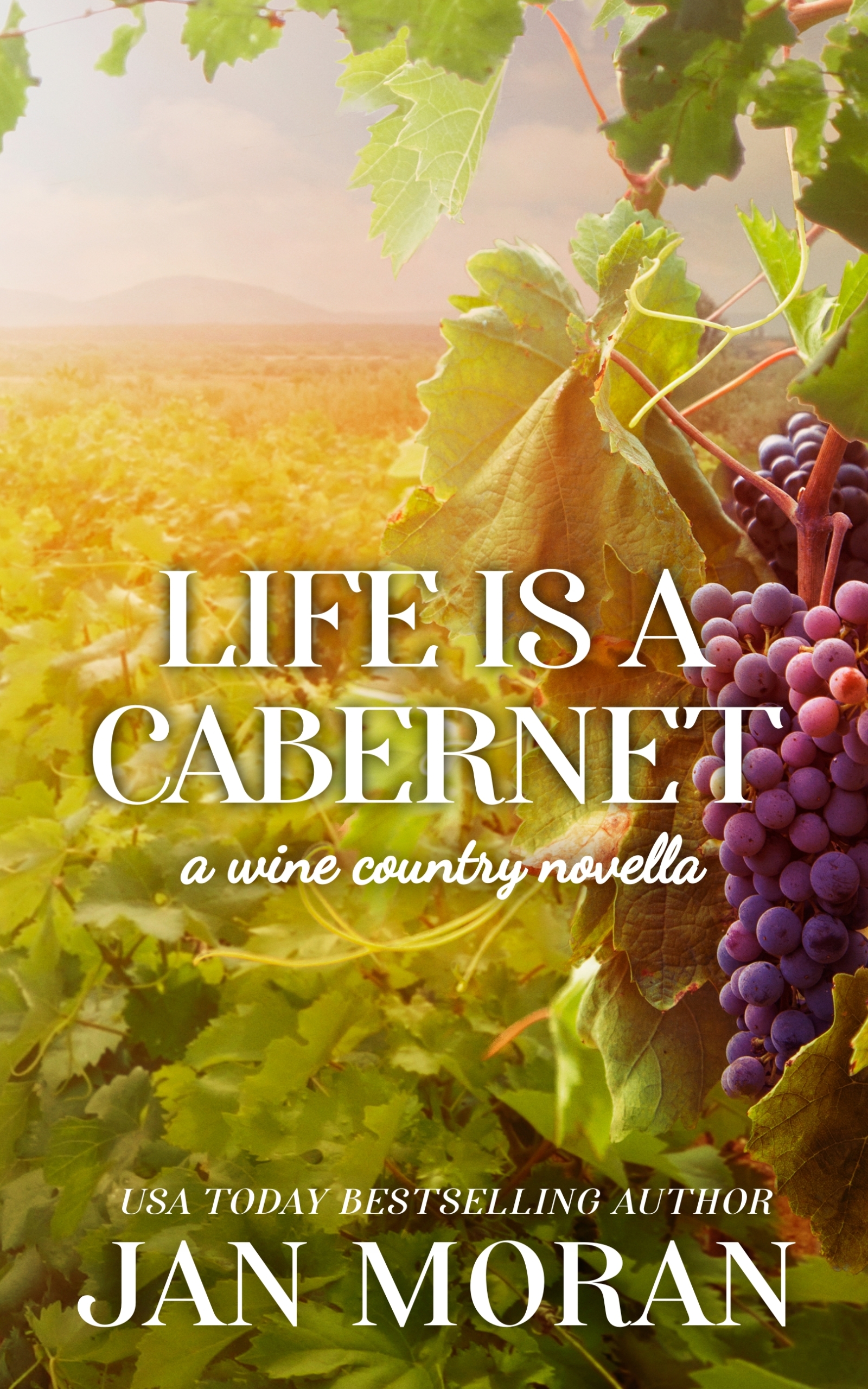 Life is a Cabernet: A Companion Wine Novella to The Winemakers (Kindle Edition)